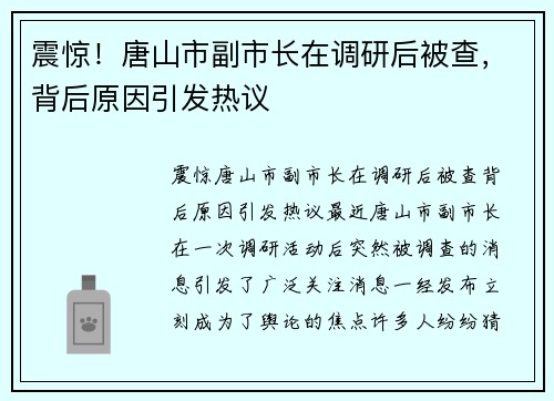 震惊！唐山市副市长在调研后被查，背后原因引发热议