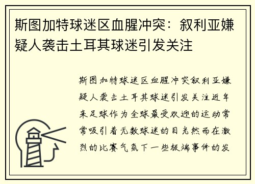 斯图加特球迷区血腥冲突：叙利亚嫌疑人袭击土耳其球迷引发关注