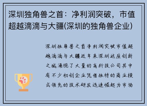 深圳独角兽之首：净利润突破，市值超越滴滴与大疆(深圳的独角兽企业)