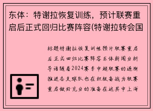 东体：特谢拉恢复训练，预计联赛重启后正式回归比赛阵容(特谢拉转会国米)