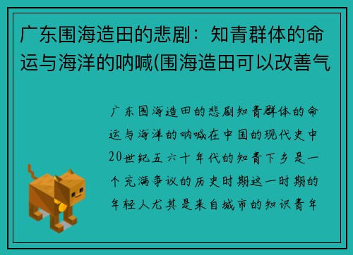 广东围海造田的悲剧：知青群体的命运与海洋的呐喊(围海造田可以改善气候吗)